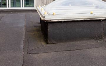 disadvantages of Icelton flat roofs
