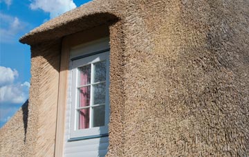 Icelton thatch roof disadvantages